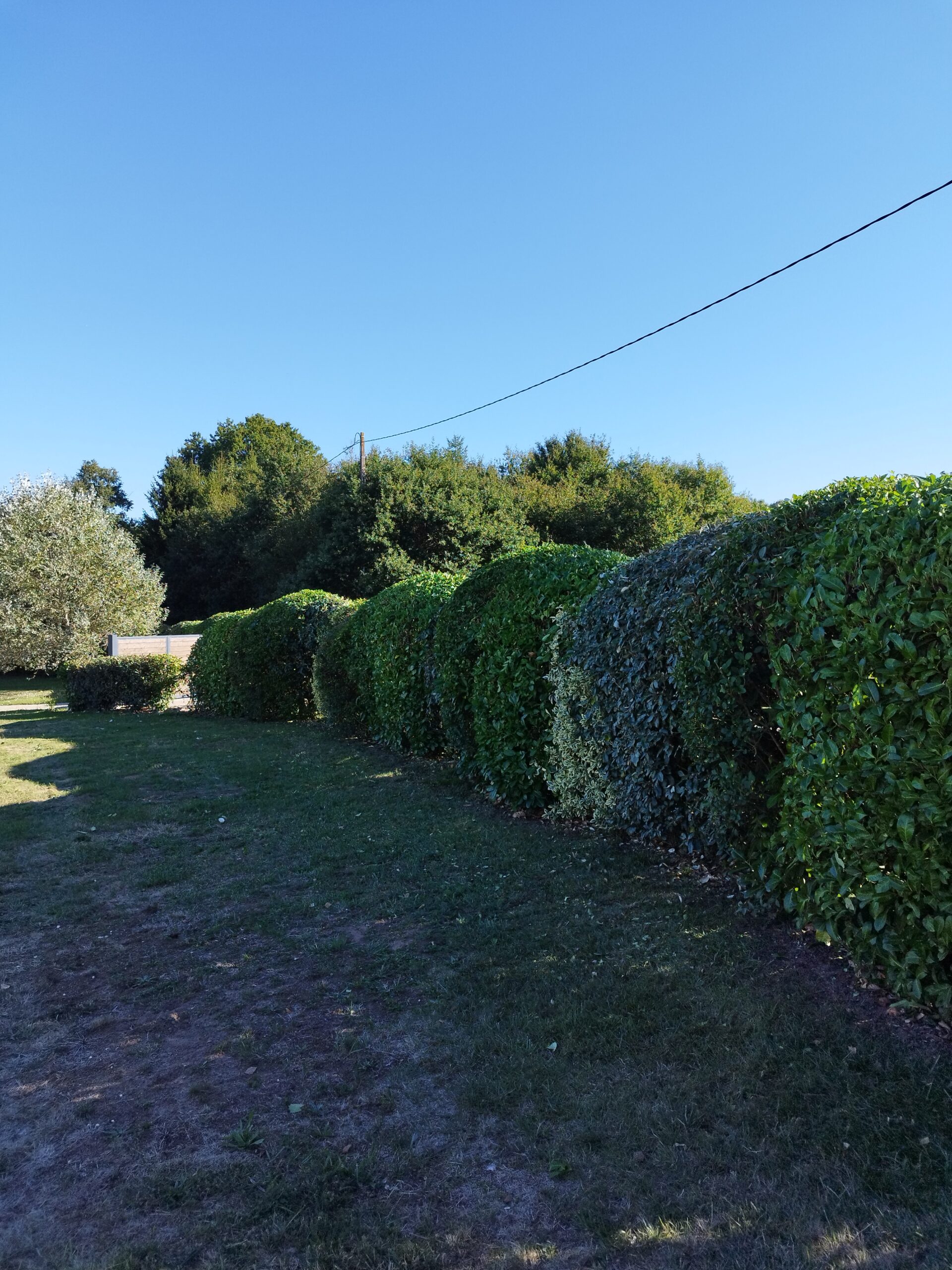 Entretien d'espaces verts