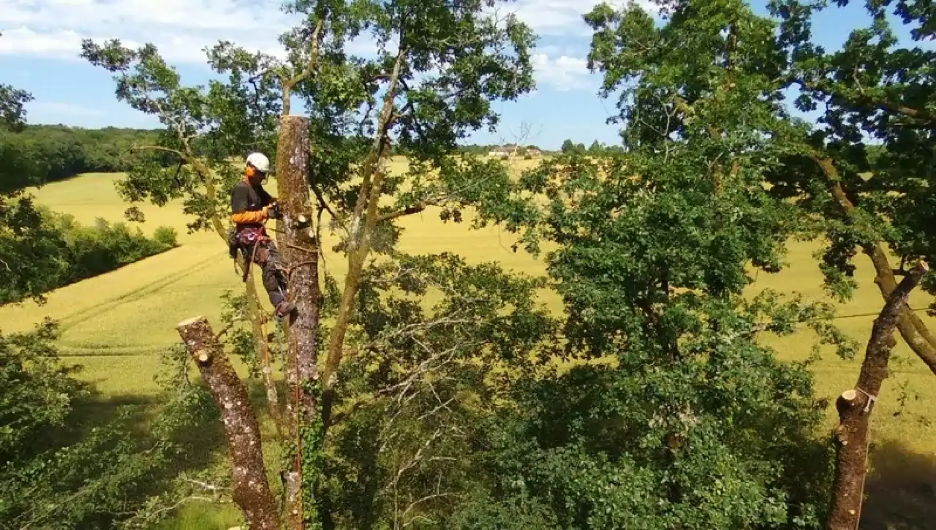 Démontage