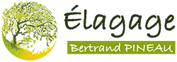 Élagage Bertrand PINEAU - Expert en entretien d'arbres Logo Élagage Bertrand PINEAU avec une illustration d'arbre stylisée aux feuilles vertes et jaunes.